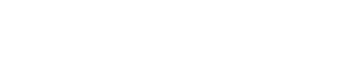 Vector 11
