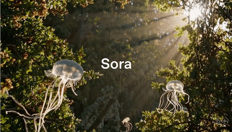 SORA Vidéos